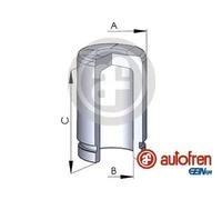AUTOFREN SEINSA D025254 Brake caliper piston