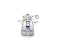 ESEN SKV 34SKV487 Brake caliper