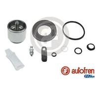 AUTOFREN SEINSA D42608LK Repair Kit, brake caliper