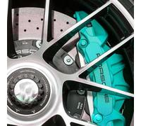 Brake Caliper Scratch Repair Paint - Easy-to-Apply, Heat-Resistant Solution for Caliper Restoration and Scratch Removal (1, Turquoise)
