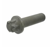 Brake Disc Attachment Bolt Fits Schmitz Cargobull Sauer Achsen Volvo Febi 18645