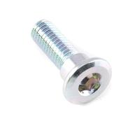 Brake Disc Bolt M8 x 25mm Lexmoto Assault 125 Euro 5 HJ125-J-E5/Isca 125 Euro 5 SK125-L-E5/Isca 125 SK125-L