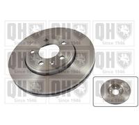 Brake Disc for Nissan PRIMASTAR Vauxhall VIVARO Renault TRAFIC 40206-00QAE