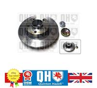 Brake Disc for Nissan PRIMASTAR Vauxhall VIVARO Renault TRAFIC 43206-00QAB