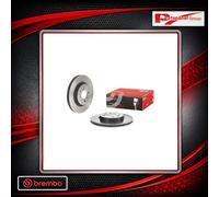 BREMBO 09.D880.11 Brake disc