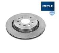 Rear Brake Disc Saab Opel Vauxhall Fiat:9-3,VECTRA C,Mk II 2,SIGNUM,C GTS 569114