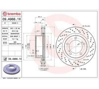 BREMBO XTRA LINE Brake disc 09.A966.1X 340 32 5 perforated/vented Coated TOYOTA: Land Cruiser 200