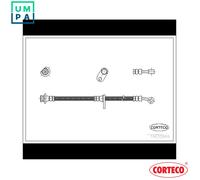 CORTECO 19032669 Brake hose