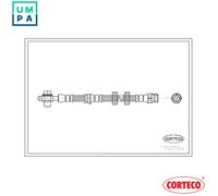 CORTECO 19035324 Brake hose