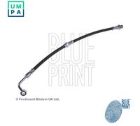 Brake Hose fits KIA PICANTO SA 1.1 Rear Right 04 to 11 G4HG Hydraulic Blue Print