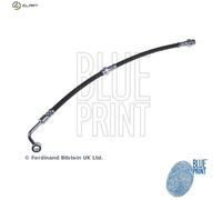 Brake Hose fits KIA PICANTO SA 1.1 Rear Right 04 to 11 G4HG Hydraulic Blue Print