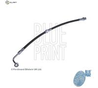 Brake Hose fits KIA PICANTO SA 1.1 Rear Right 04 to 11 G4HG Hydraulic Blue Print