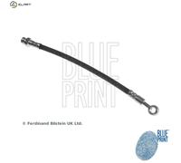 Blue Print Brake Hose for KIA PRO CEED ED 2.0 G4GC Rear Left 2008–2012 Hydraulic
