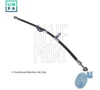 Brake Hose Front Right ADG053261 Blue Print Hydraulic 587321D000 Quality New