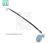 Blue Print Brake Hose ADH253191 – Front Right Hydraulic – Fits Honda CR-V Mk3