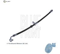 Blue Print Brake Hose Honda Civic EK3 1.5 (D15Z6) Front Left 1995-2001 Hydraulic
