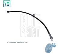 Blue Print Brake Hose - ADT353161