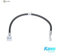 KAVO PARTS BBH-2071 Brake hose