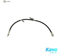 KAVO PARTS BBH-9384 Brake hose