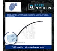 BRAKE HOSE PIPE LINE FOR HONDA CR V II RD K20A4 N22A2 K24A1 BLUE PRINT