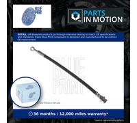 Blue Print Brake Hose - ADG053231