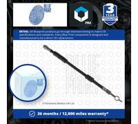 Blue Print Brake Hose Rear Left Right Adm553127