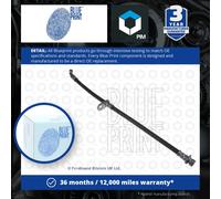 Brake Hose Fits Honda Prelude IV OE 46431SS0003 Blue Print ADH25366