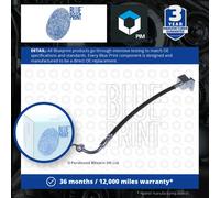 Brake Hose line ADM55346 by Blue Print Rear RH - Single