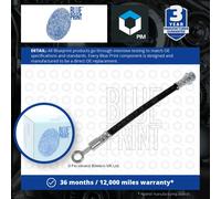 Blueprint ADN153220 Brake Hose Rear Left Right Braking Fits Nissan Patrol GR
