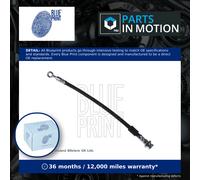 Brake Hose Front Right ADK85331 Blue Print Hydraulic 5154081A00 Quality New