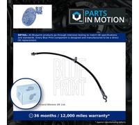 Blue Print Brake Hose - ADT353161