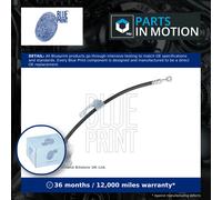 Brake Hose fits OPEL ANTARA L07 2.4 Front Left 2006 on Hydraulic Blue Print New