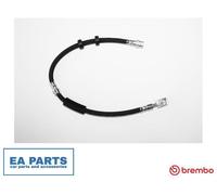 Brake Hose for AUDI A1 BREMBO T 85 213