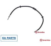 Brake Hose for AUDI A6 BREMBO T 85 153