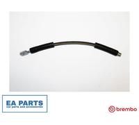 Brake Hose for AUDI ALLROAD C5 BREMBO T 85 211
