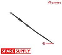 BRAKE HOSE FOR BMW E83 BREMBO T 06 036