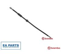 Brake Hose for BMW E83 BREMBO T 06 036 NEW