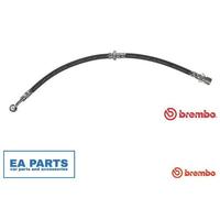 Brembo Brake Hose T 10 007 – Flexible for Chevrolet/Daewoo