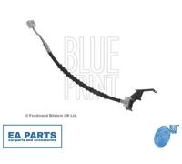 Brake Hose for CHRYSLER BLUE PRINT ADA105334C fits Front Axle Right