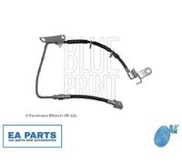 Brake Hose for CHRYSLER BLUE PRINT ADA105345C fits Rear Axle Right