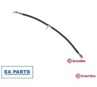 Brake Hose for CITROËN C1 BREMBO T 11 014