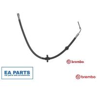 Brake Hose for CITROËN C5 C6 BREMBO T 61 059