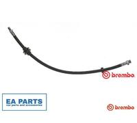 BREMBO T 23 185 Brake hose