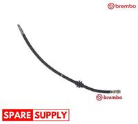 BRAKE HOSE FOR DACIA DOKKER DUSTER LODGY LOGAN BREMBO T 68 091