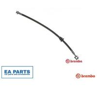 Brake Hose for DAEWOO, GM KOREA MATIZ BREMBO T 15 018