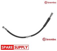 BRAKE HOSE FOR DAEWOO, GM KOREA REZZO BREMBO T 15 017