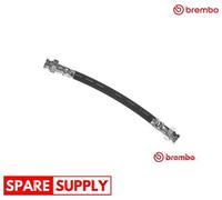 Brembo Flexible Brake Hose T23 182 for Fiat Panda, 500/500C, Abarth 500/595/695C, Ford KA