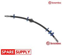 BRAKE HOSE FOR FIAT BRAVA BRAVO BREMBO T 23 051