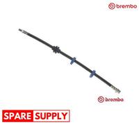 BRAKE HOSE FOR FIAT BRAVO MAREA REGATA WEEKEND STILO BREMBO T 23 115