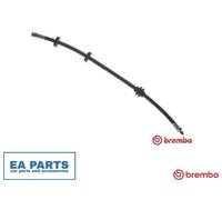 Brake Hose for FIAT DOBLO BREMBO T 23 048